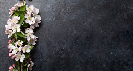Fototapeta na wymiar Apple blossom tree branch on stone table