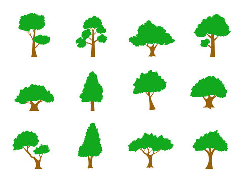 Collection of flat trees Icon. Can be used to illustrate any nature or healthy lifestyle topic.