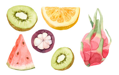 Hand drawn watercolor illustration of different exotic tropical fruits. Hand painted watercolor illustration. Isolated on the white background.