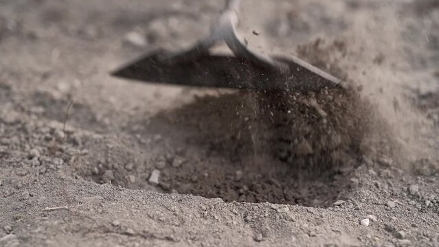 Farmer woman working in garden at home digging in beds for planting seeds. Gardener hoeing holes in soil with mattock, slow motion. Agriculture, organic farming, gardening concept. 