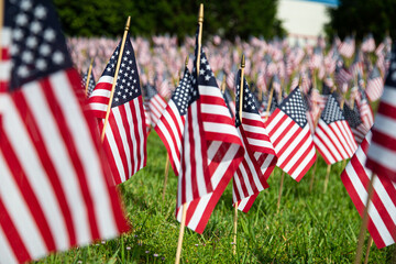 Hundreds of American flags are planted on the lawn