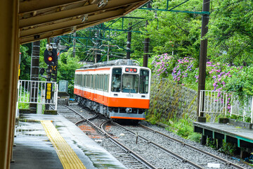 箱根登山鉄道　1000系　紫陽花