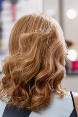 Back view of young blonde girl with beautiful curly hairstyle