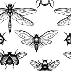 Tea herbs seamless pattern background design. Engraved style. Hand drawn insect.