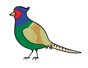 キジのイラスト