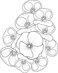 illustration of a flower