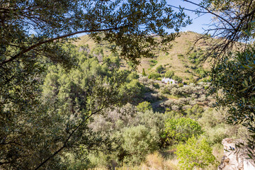 Forest walk. The Lost Village, El Acebuchal, Frigiliana, Andalusia, Spain. Sunny spring day street view.