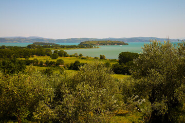 Fototapeta na wymiar Lago Trasimeno. Paesaggi collinari sul lago