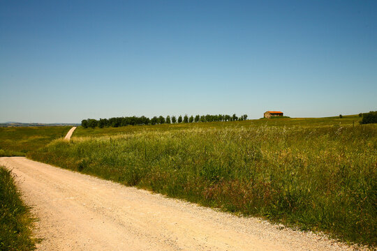 Colors, anture and landscapes of district of Trasimeno Lake