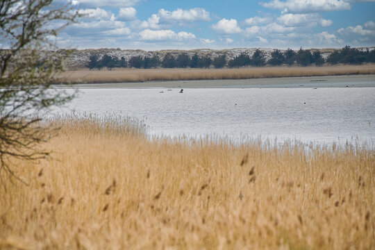 Bird lookout Pramort on the darss. wide landscape with view to the bodden and the baltic sea