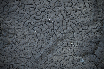 ひび割れた大地と轍