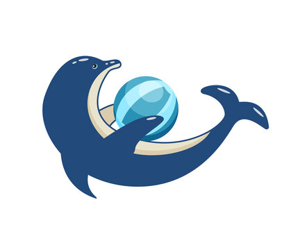 Cartoon cute dolphin with a ball in the dolphinarium. Vector illustration of a trained sea animal in a zoo