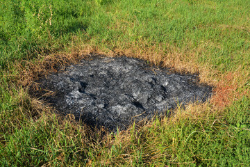 Fototapeta premium Burnt Grass. Burned Grass Hotsell.