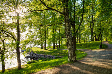 Few people at the Hatanpää arboretum public park in Tampere, Finland, on a sunny day in the summer.