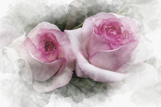 aquarelle représentant 2 roses