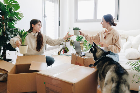Lesbian couple unpacking cardboard boxes sitting in living room at home