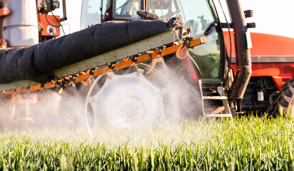 Tractor spraying pesticides wheat field.