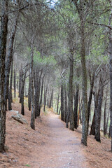 Hiking trail in the mountains of Sierra Nevada, Spain