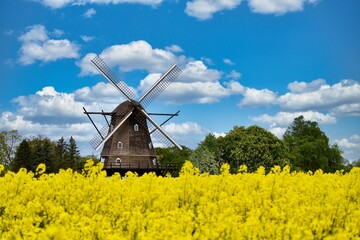 Old traditional dutch windmill in a canola field on the countryside. Selective focus.