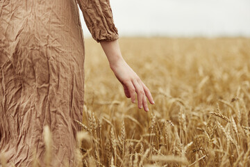 touching golden wheat field Wheat field endless field © SHOTPRIME STUDIO