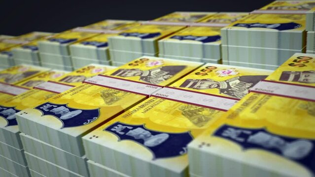 Brunei dollar banknote bundle growth up loop. BND money stacks. Concept of cash pack, banking, travel, business, economy and finance. Loopable seamless 3d animation.