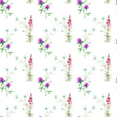 Watercolor seamless pattern of Chamomile, pink fireweed, Red Clover isolated on a white background.