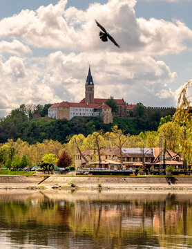 Ilok castle above the Danube river on the Croatian Serbian border in Croatia