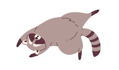 Cute lazy raccoon sleeping, relaxing. Sleepy racoon lying in funny pose. Amusing animal asleep. Lovely sweet character dreaming, lounging. Flat vector illustration isolated on white background © Good Studio