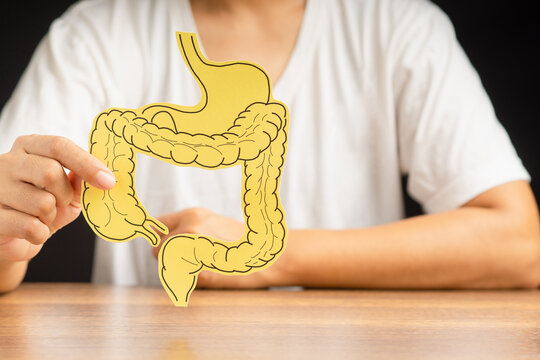 Hand Holding A Large Intestine Shape Made From Paper While Sitting Over A Black Background