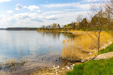 Panoramic spring view of Jezioro Elckie lake with reed and wooded shoreline along touristic promenade in Elk town of Masuria region of Poland