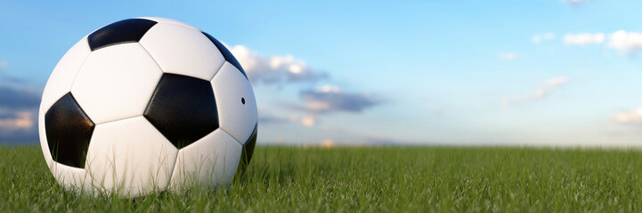 White and black football in a field close up on a bright sunny summers day 3d render