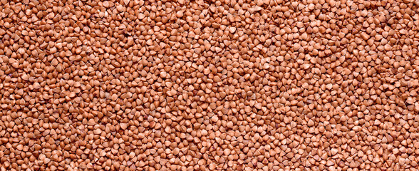 buckwheat grain closeup background for design - obrazy, fototapety, plakaty