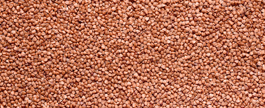 buckwheat grain closeup background for design