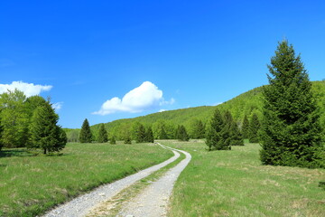Fototapeta na wymiar Beautiful nature with green meadows, forest and field road in spring; mountain landscape on Matic poljana in Gorski kotar area, Croatia