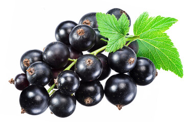 Ripe blackcurrant branch with green leaf on the white background.