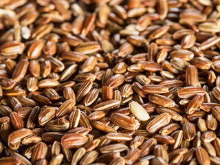 Brown rice - whole grain rice with outer hull or husk. Close-up.