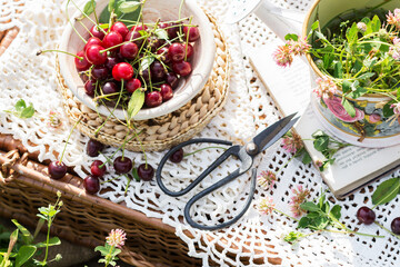 Cherries in plate on  picnic suitcase with crocheted tablecloth and scissors,  picnic basket  in meadow with cherries, summer’s lifestyle  concept, top view