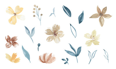 Collection of hand drawn watercolor flowers. Isolated on white backdrop. For invitations decor and design, print. 