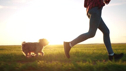 dog and teenage girl a running in the park legs close-up. animal pet run. sport health happy family kid dream concept. shaggy dog runs in nature in the park on the sun grass after the owner of girl