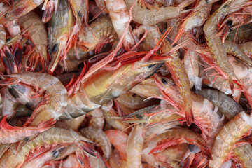 sea shrimp stock on market