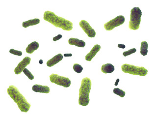 Green intestinal bacteria ( Salmonella ) isolated on white background. Bacterial gut microbiota and infection 