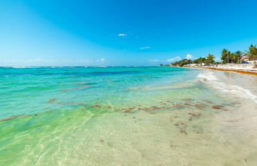 Fototapeta na wymiar Clear water in Raisins Clairs beach in Guadeloupe