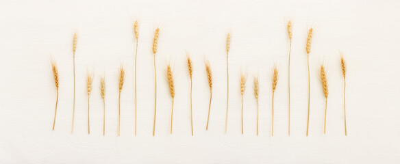 top view of wheat crops over white wooden background. Symbols of jewish holiday - Shavuot