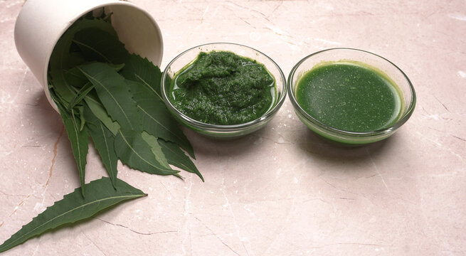 Neem leaves or Azadirachta Indica used as ayurvedic medicine with ground neem paste and juice Used in skin care, beauty products and creams.