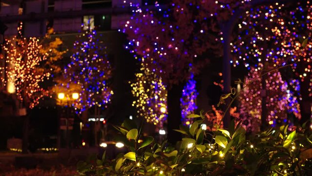 OSAKA, JAPAN - DECEMBER 2021 : View of Christmas illumination led light up at Midosuji street. Scenery of downtown city and street at night. Japanese winter and Christmas season concept.