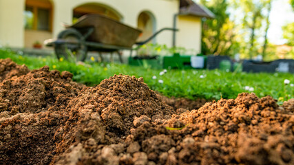 Landscaping. Starting new flowerbed in a backyard. Garden work, hobby, relax.
