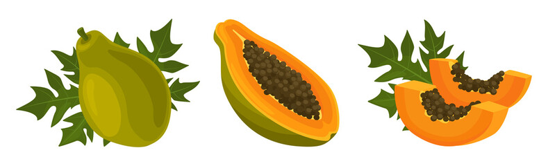 Set of fresh papaya in cartoon style. Vector illustration of fruits whole and cut into slices and halves, with a leaf on white background. - obrazy, fototapety, plakaty