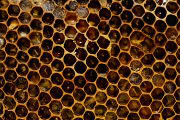 Golden honeycomb texture macro background