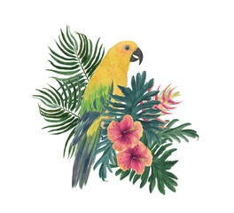Watercolor painting tropical floral composition with yellow sun conure parrot isolated on white - 504908746