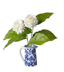 Jasmine flowers in a vase